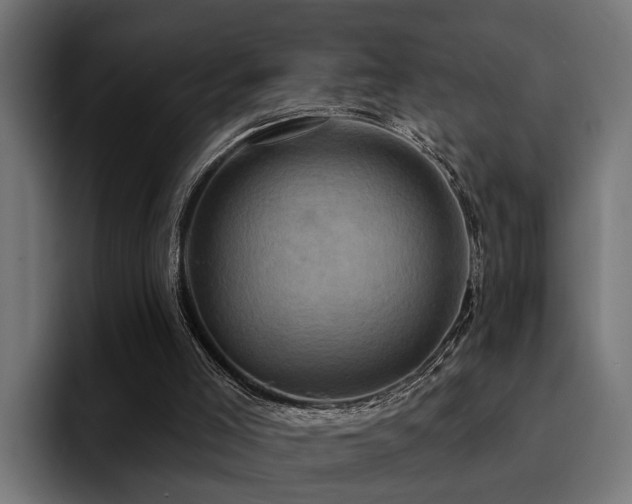 X0000094460005200711081334