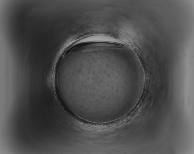X0000094460006200711081334
