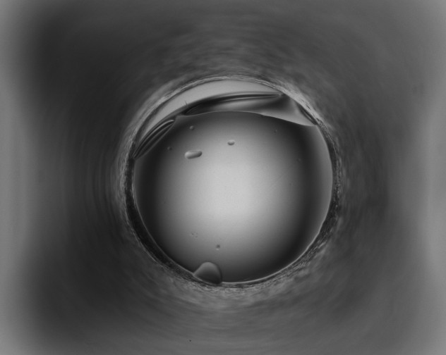 X0000094460007200711081334