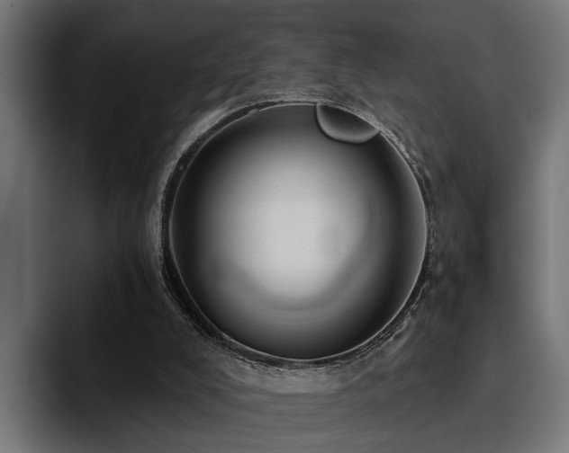 X0000094460008200711081334