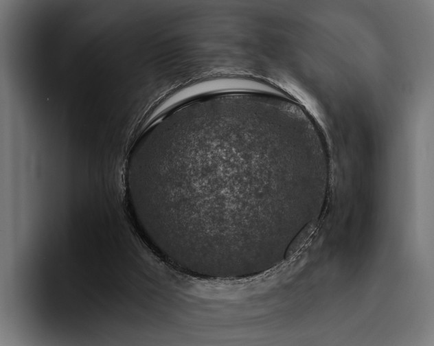 X0000094460009200711081334