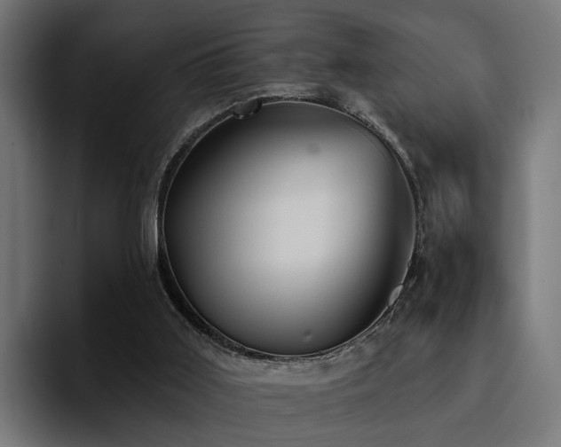 X0000094460011200711081334