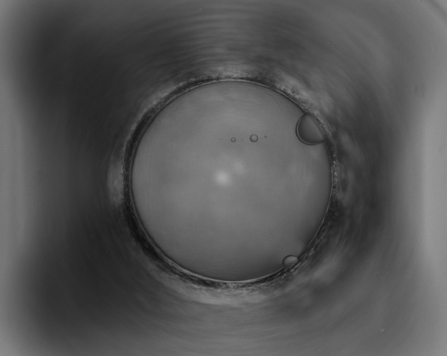 X0000094460012200711081334