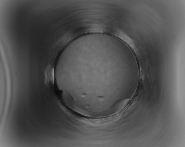 X0000094460013200711081334