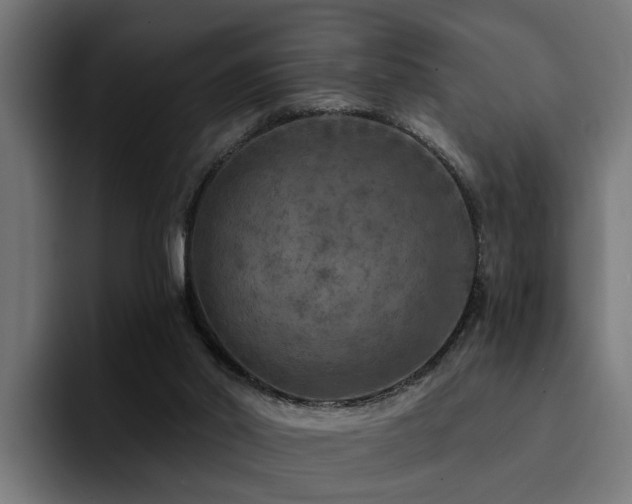 X0000094460014200711081334