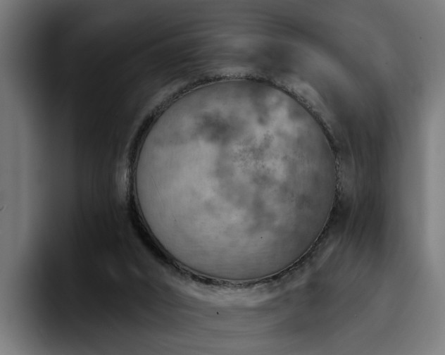 X0000094460016200711081334
