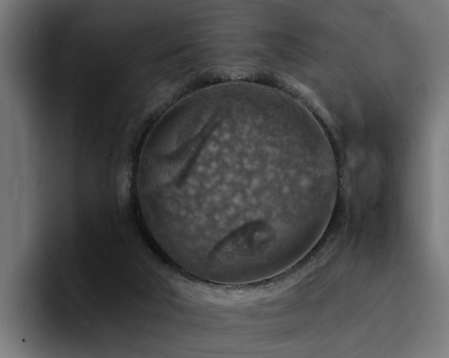 X0000094460018200711081334