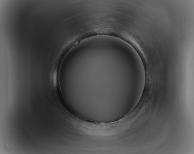 X0000094460019200711081334