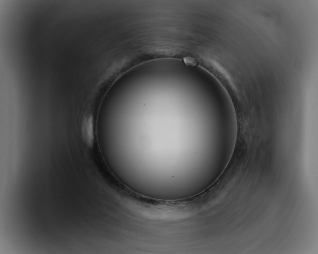 X0000094460020200711081334