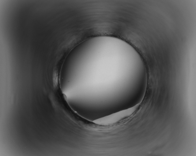 X0000094460021200711081334