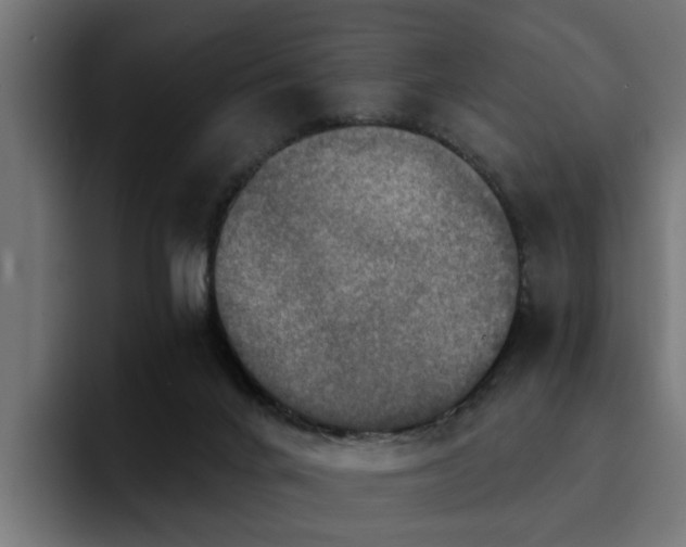 X0000094460024200711081334