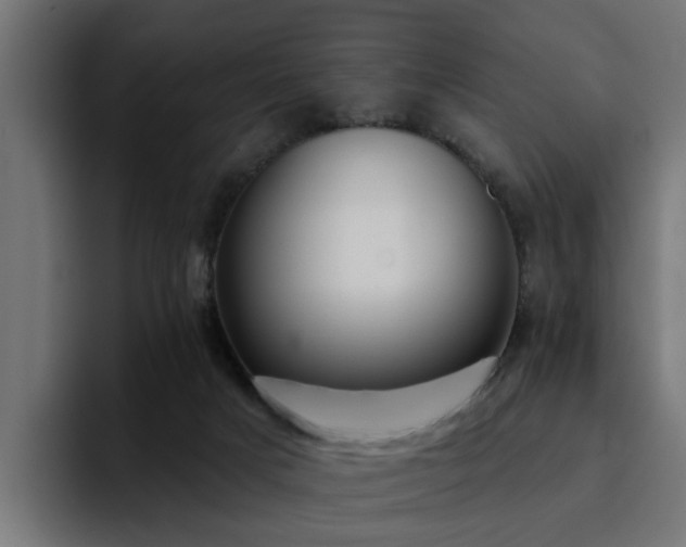 X0000094460025200711081334