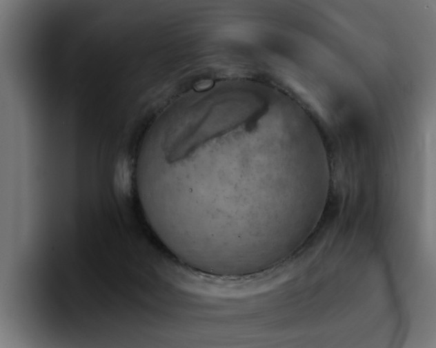 X0000094460026200711081334