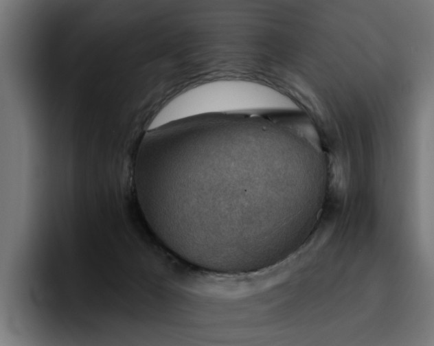 X0000094460029200711081334