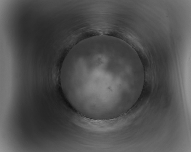 X0000094460030200711081334