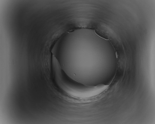 X0000094460031200711081334