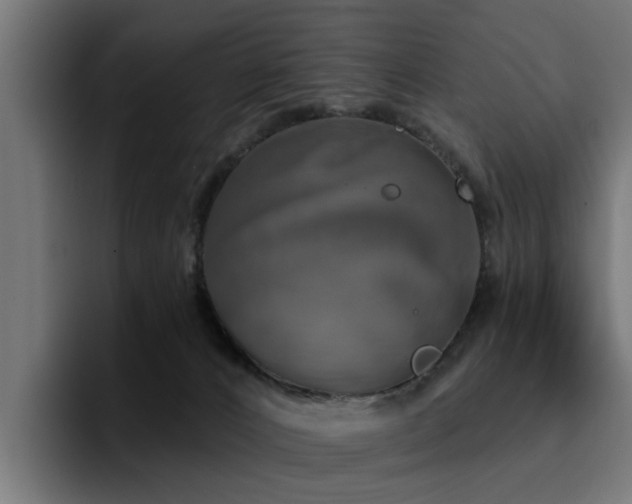X0000094460032200711081334