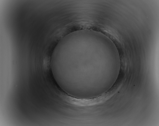 X0000094460034200711081334