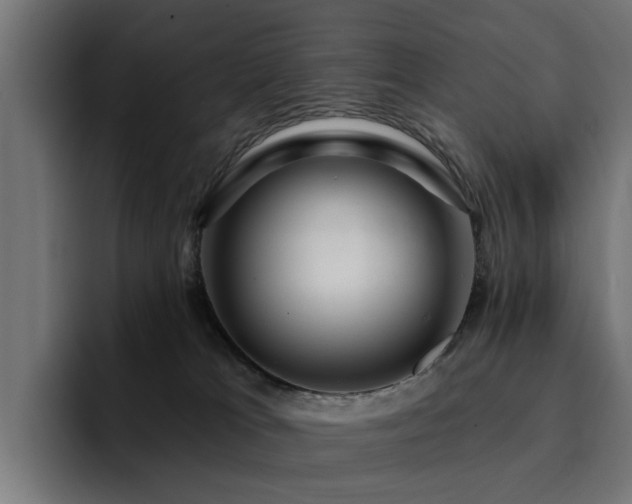 X0000094460037200711081334