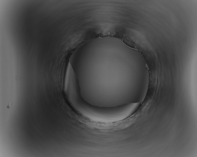 X0000094460039200711081334