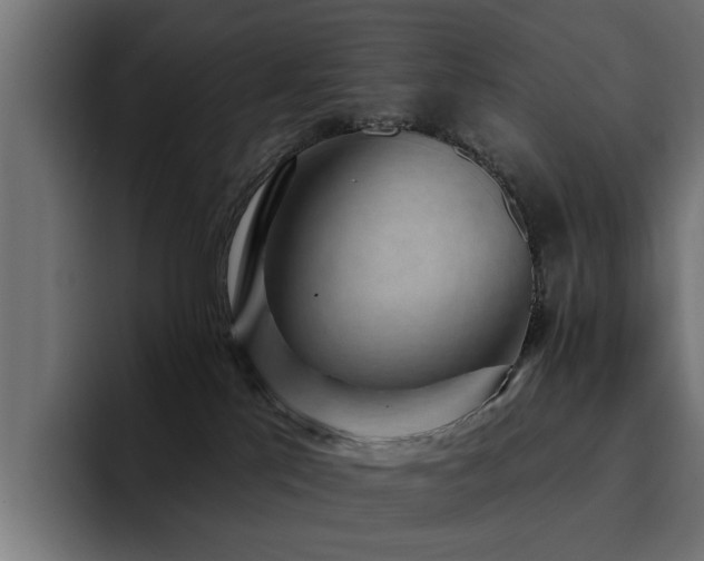 X0000094460041200711081334