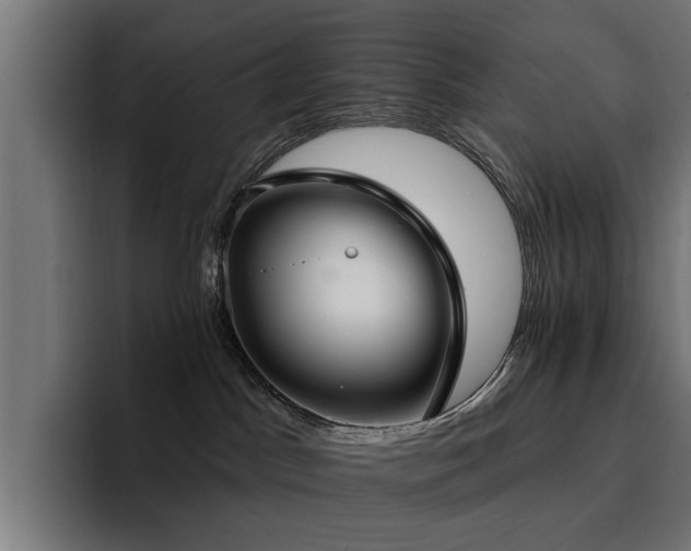 X0000094460045200711081334