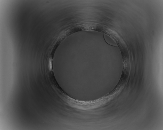 X0000094460046200711081334
