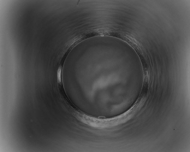 X0000094460047200711081334