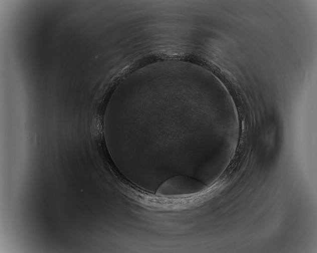 X0000094460048200711081334