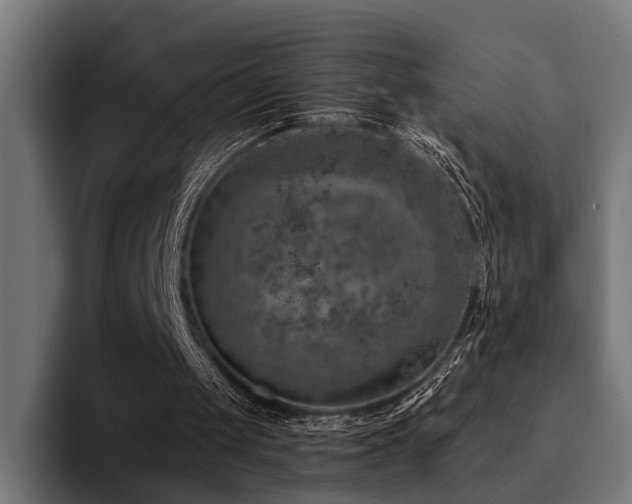 X0000094460049200711081333