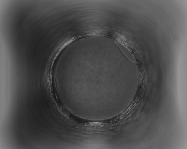 X0000094460050200711081333