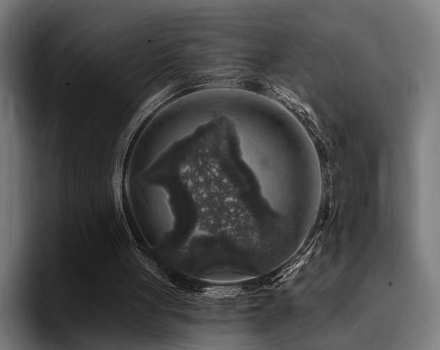 X0000094460051200711081333