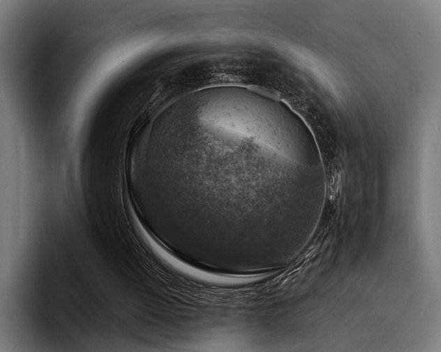 X0000094460052200711081333