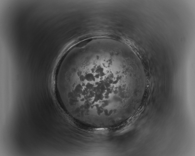 X0000094460053200711081333