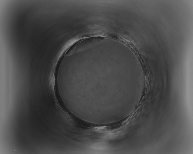 X0000094460054200711081333