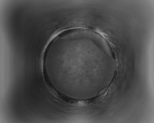 X0000094460056200711081333
