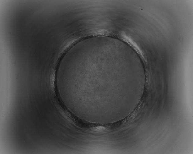 X0000094460058200711081333