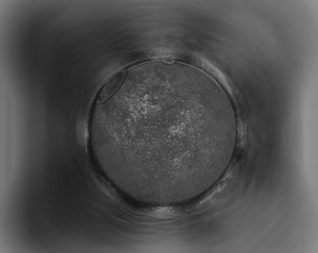 X0000094460059200711081333