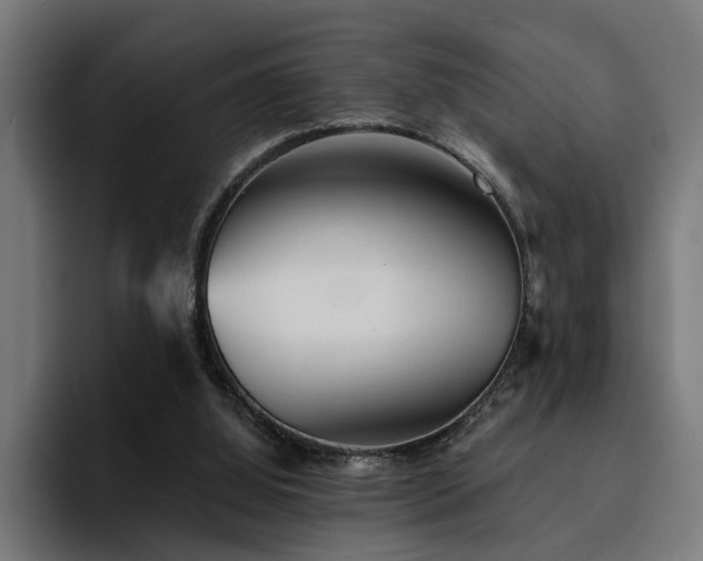 X0000094460060200711081333