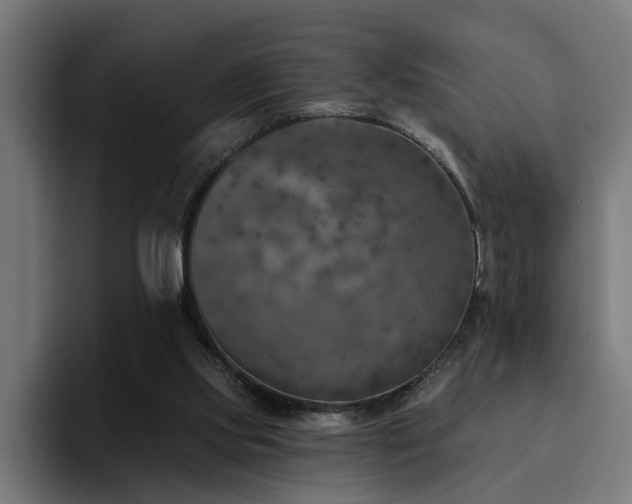 X0000094460061200711081333