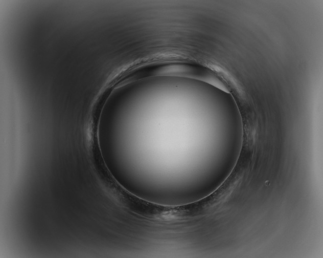 X0000094460064200711081333