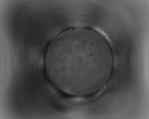 X0000094460065200711081333