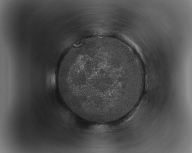 X0000094460067200711081333