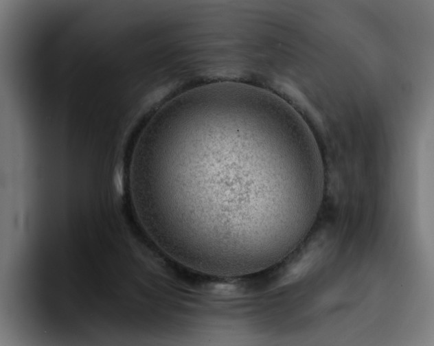 X0000094460068200711081333