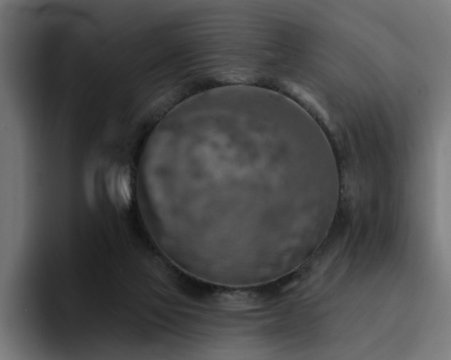 X0000094460069200711081333