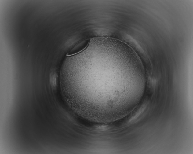 X0000094460071200711081334