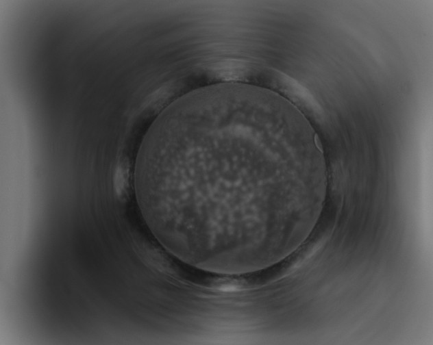X0000094460073200711081334
