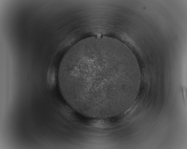 X0000094460074200711081334