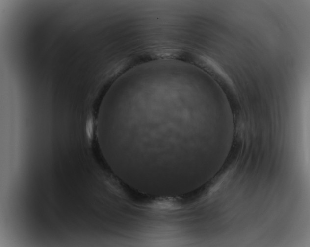 X0000094460076200711081334