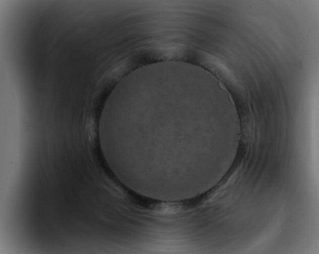 X0000094460077200711081334